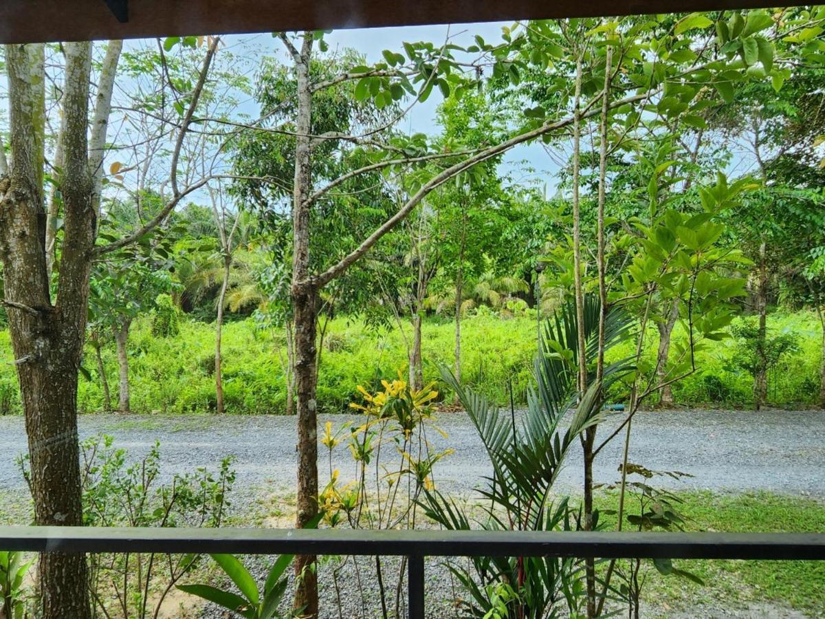 סוראט תאני Suankafae Resort สวนกาแฟรีสอร์ท מראה חיצוני תמונה
