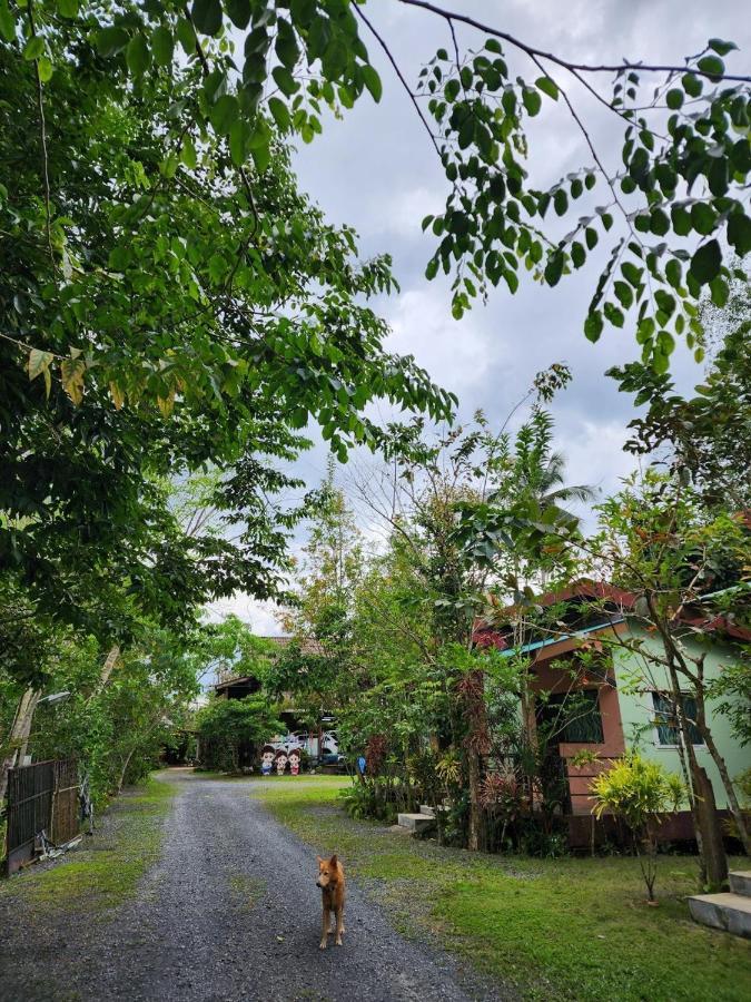 סוראט תאני Suankafae Resort สวนกาแฟรีสอร์ท מראה חיצוני תמונה