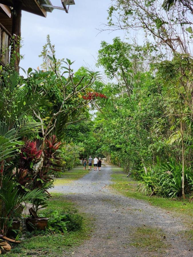 סוראט תאני Suankafae Resort สวนกาแฟรีสอร์ท מראה חיצוני תמונה