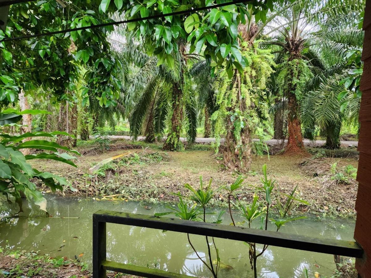 סוראט תאני Suankafae Resort สวนกาแฟรีสอร์ท מראה חיצוני תמונה